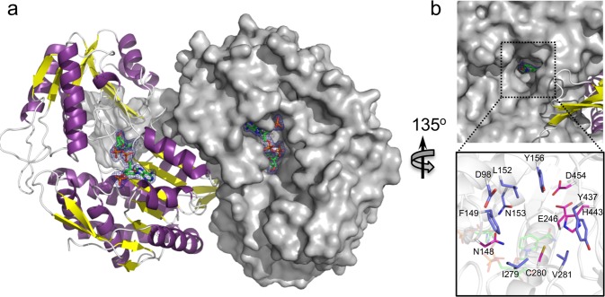 Fig. 6