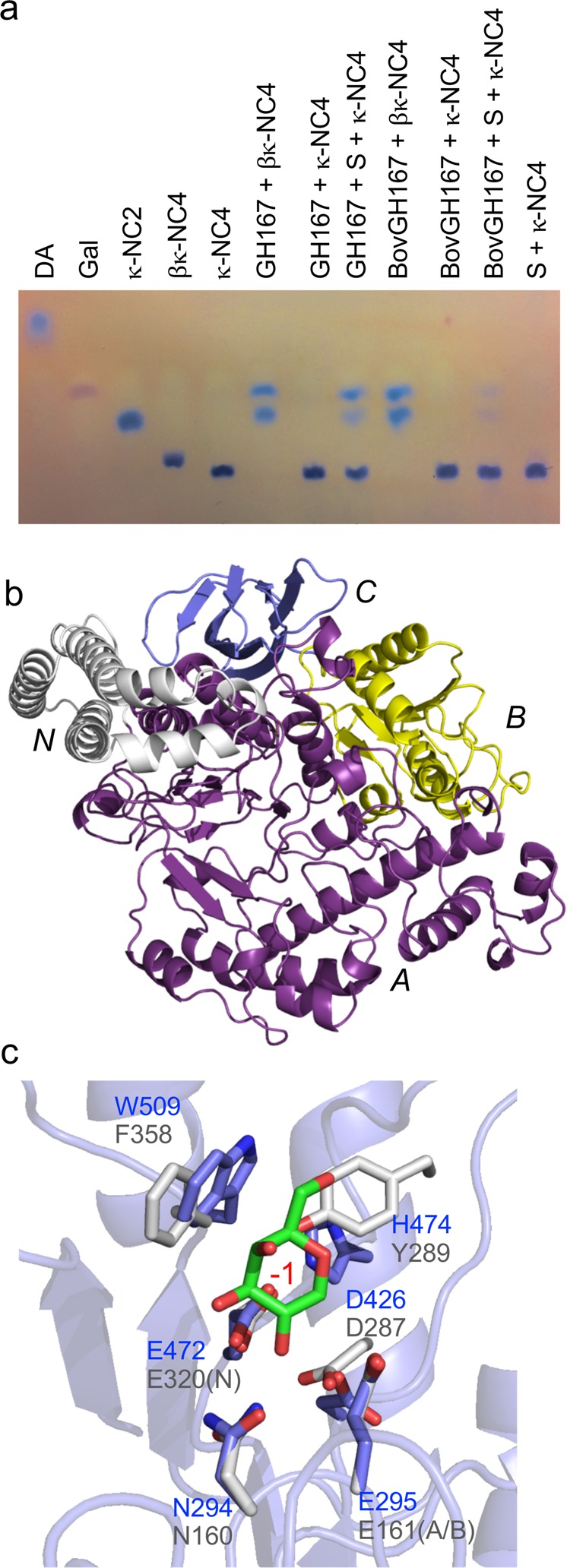 Fig. 5