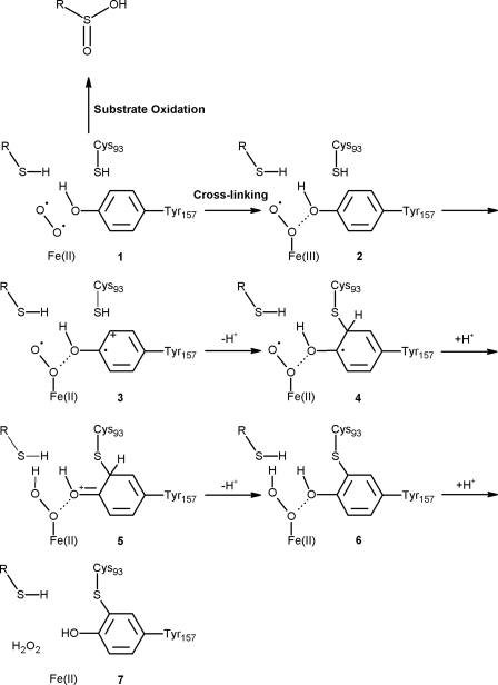 FIGURE 9.