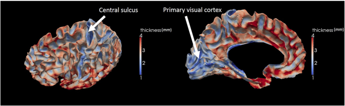 Figure 7