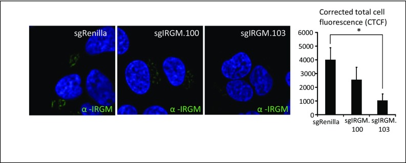 Fig. S4.