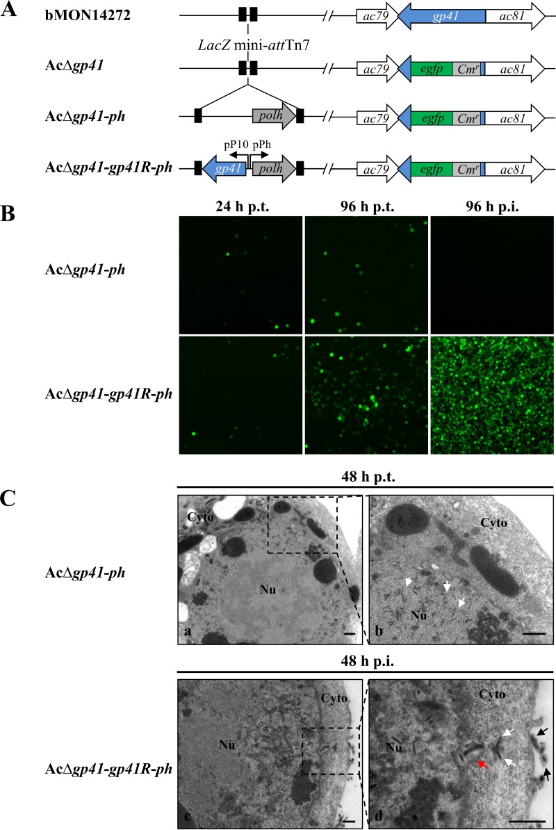 FIG 2