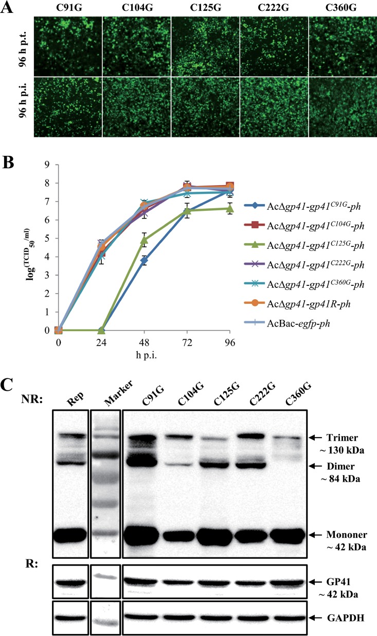 FIG 6