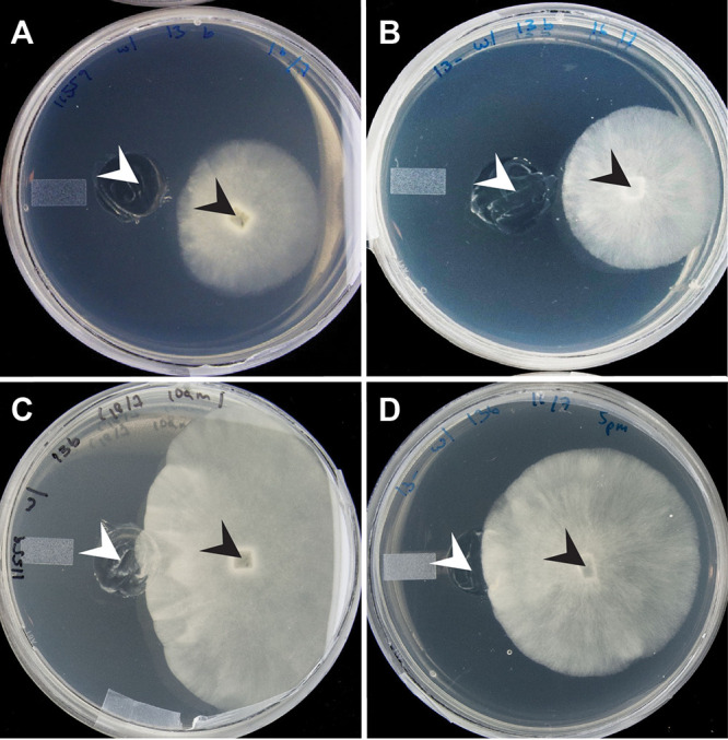 FIG 1