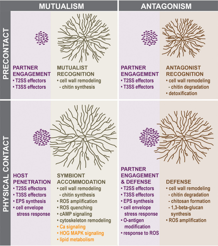 FIG 3