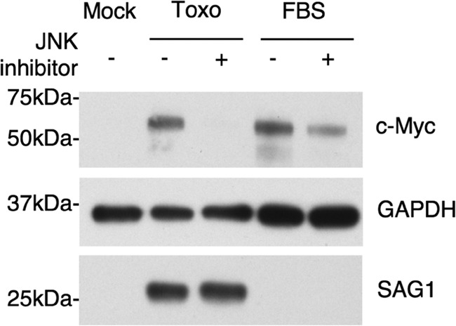 FIG 6