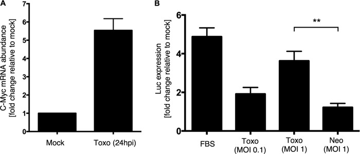 FIG 4