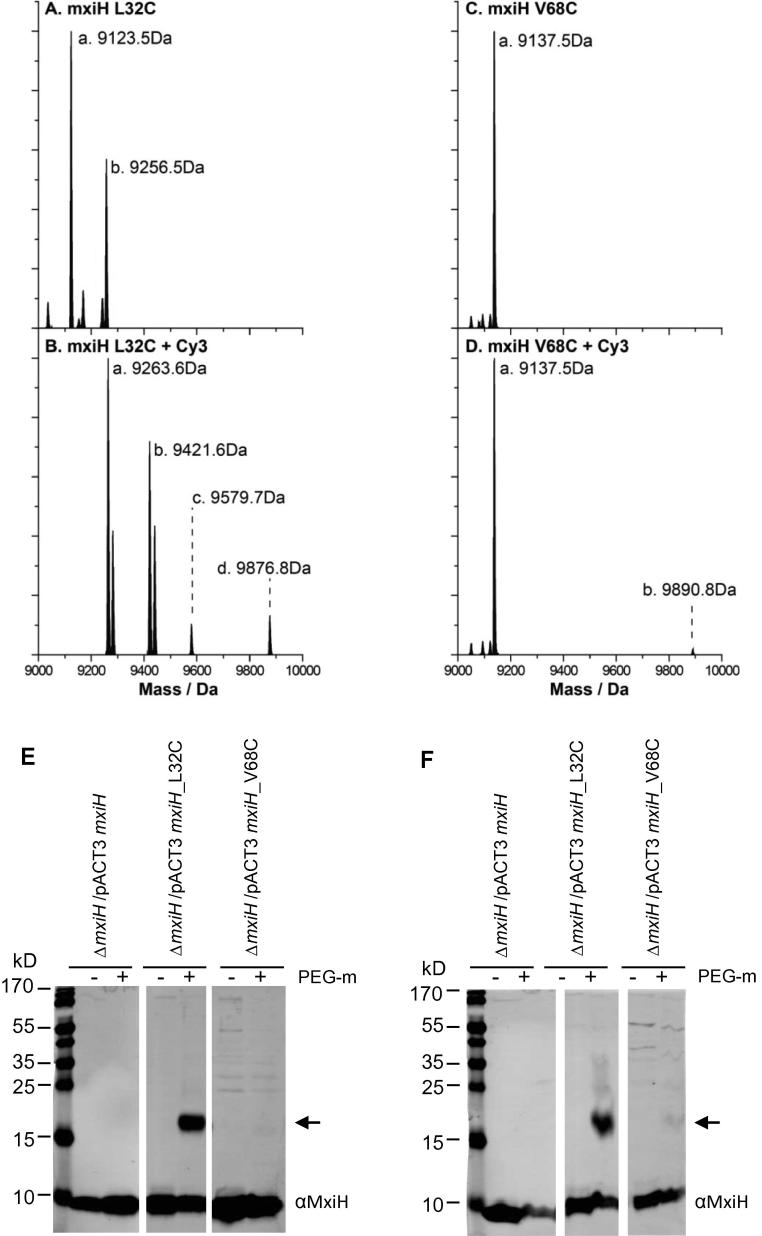 Fig. 2