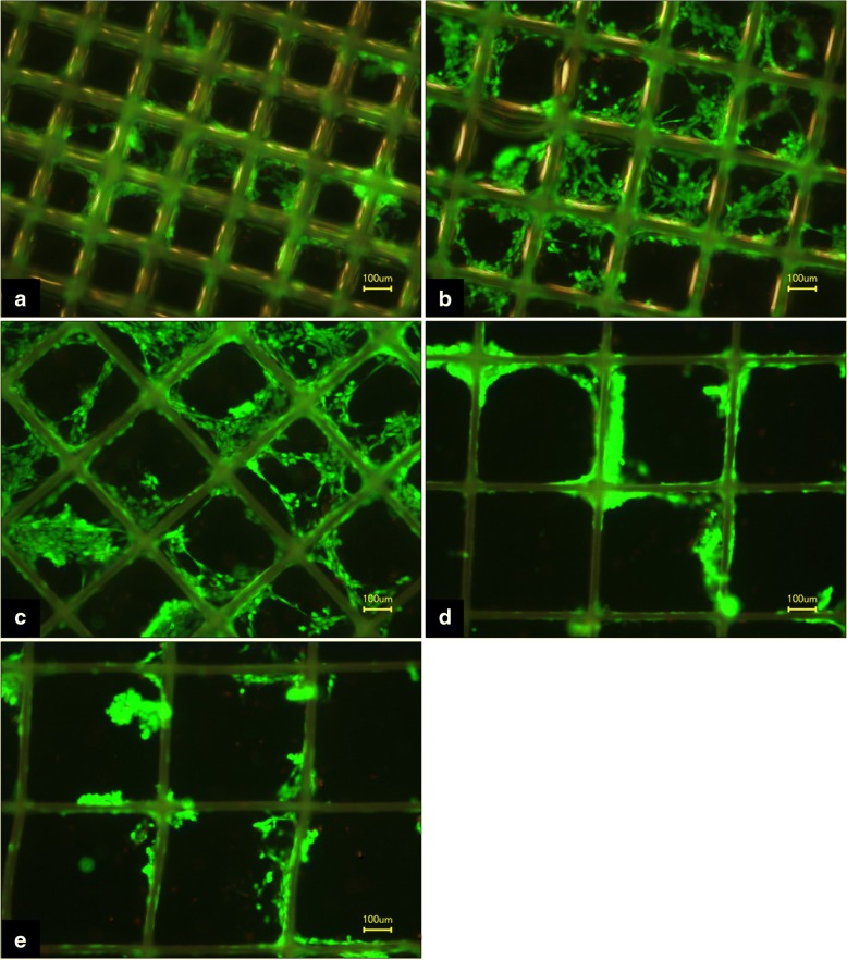 Fig. 10