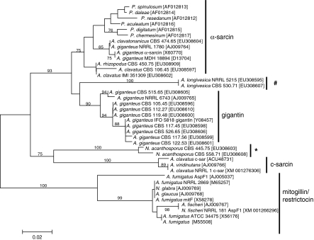 Fig. 1