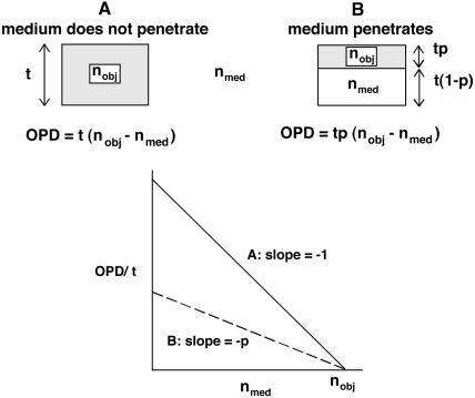 Figure 11.