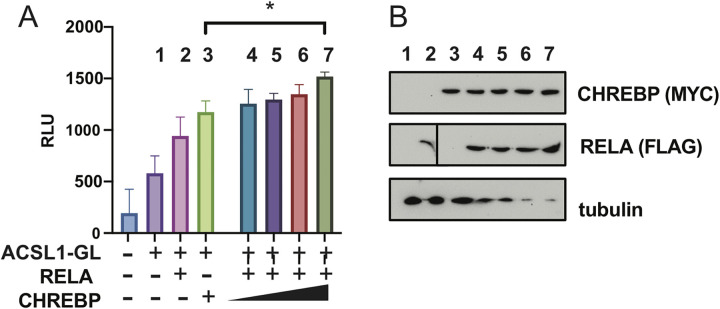 Fig 5