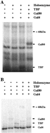 Fig 1.