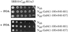 Fig 3.