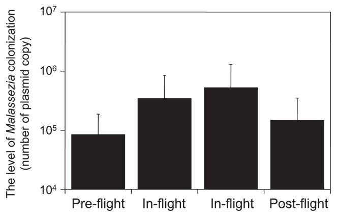 Fig. 3