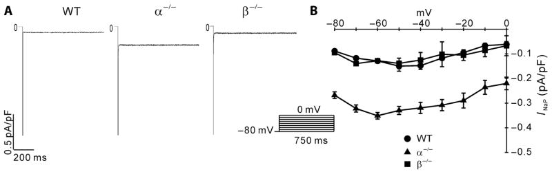 Fig. 5