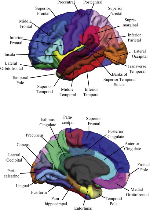 Fig. 1