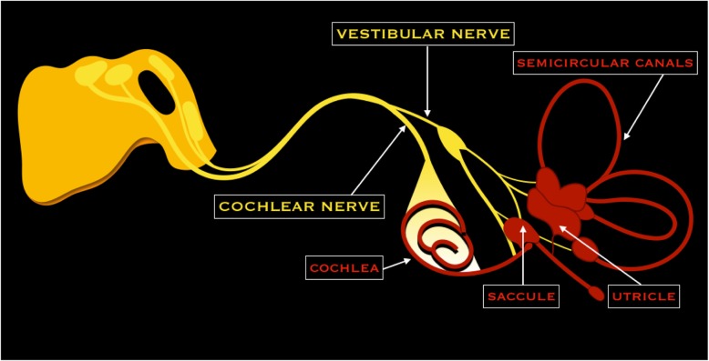 Fig. 8