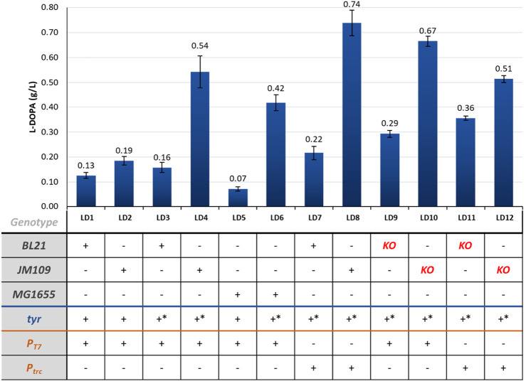 FIGURE 4