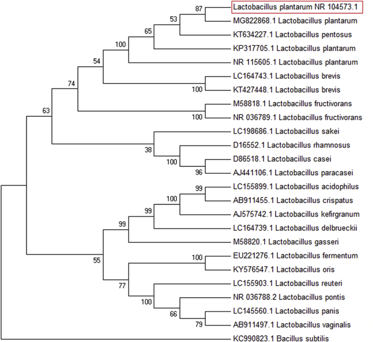 Fig. 2