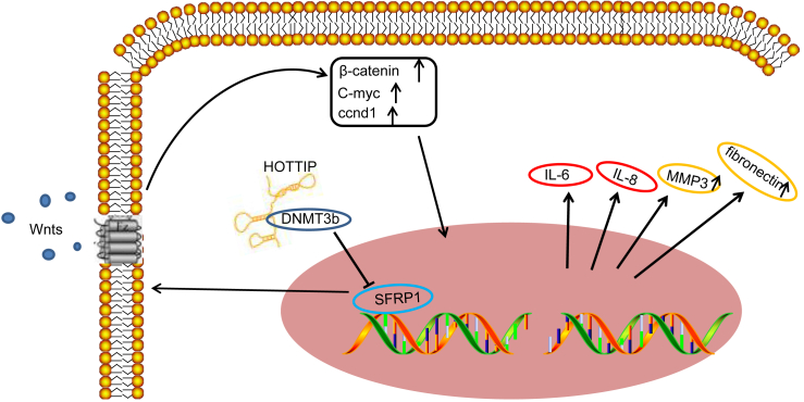 Figure 6