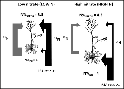 Fig. 6.