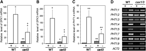 Figure 6.