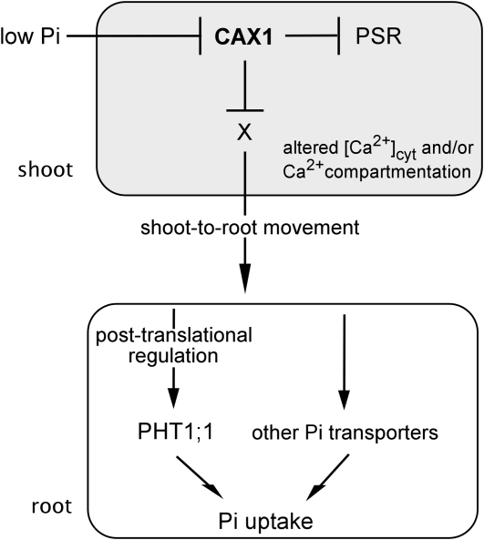 Figure 9.