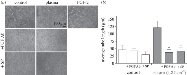 Figure 6.