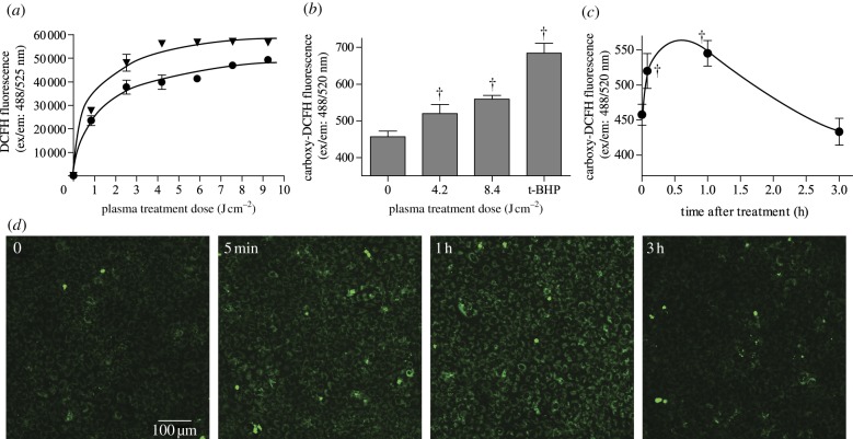 Figure 2.