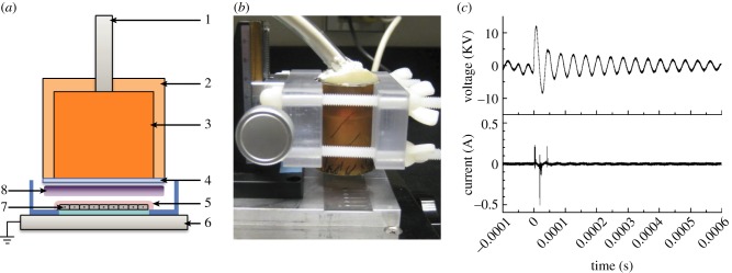 Figure 1.