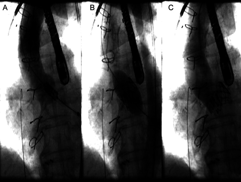 Figure 2: