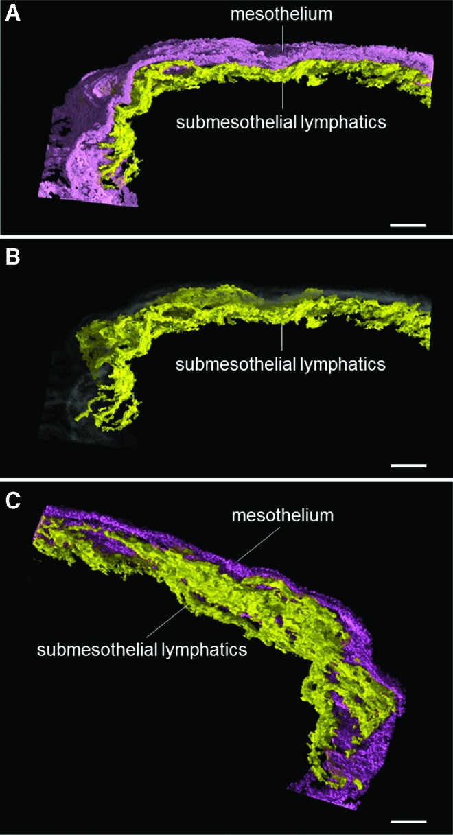 FIG. 6.