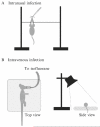 Figure 33.4