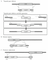 Figure 33.2
