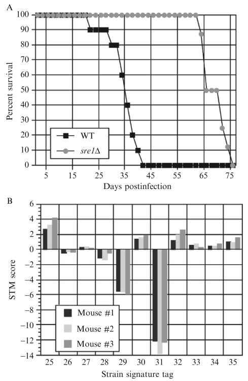 Figure 33.5