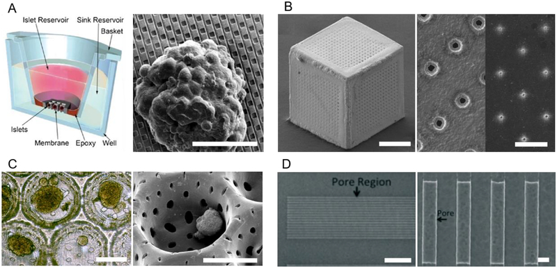 Fig. 5: