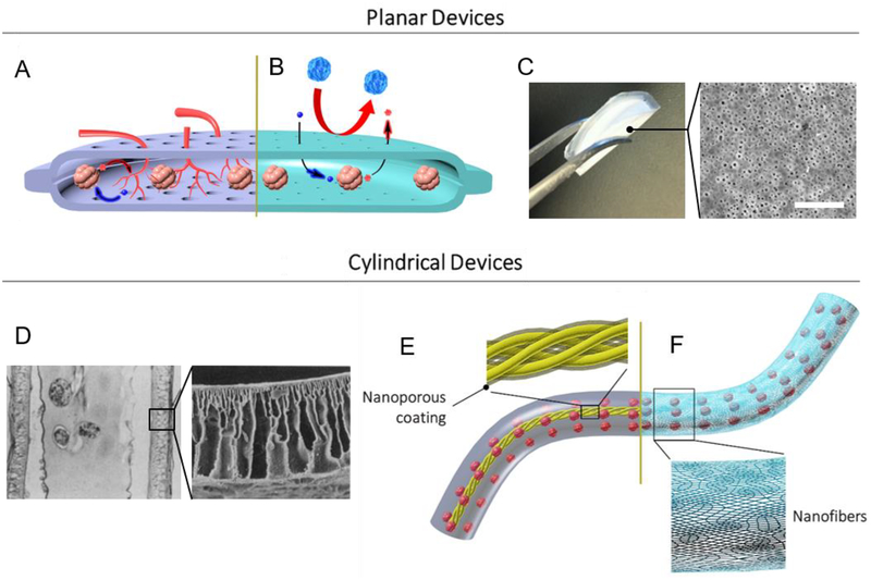 Fig. 4: