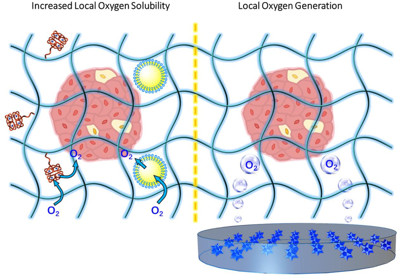 Fig. 2: