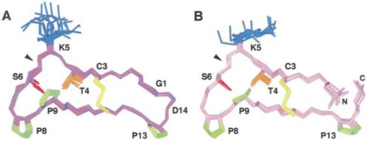 Figure 30