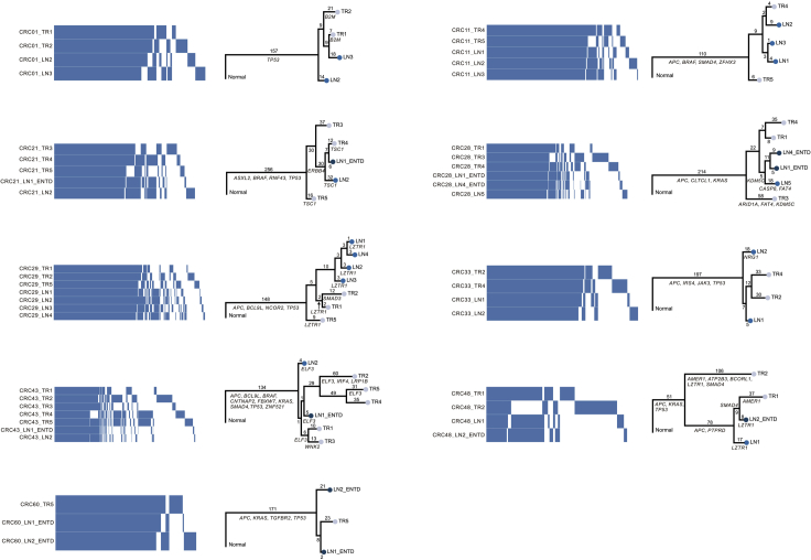 Figure 5