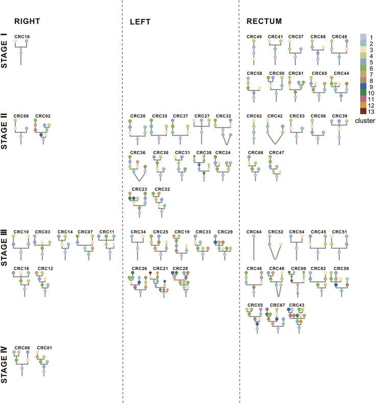 Figure 2