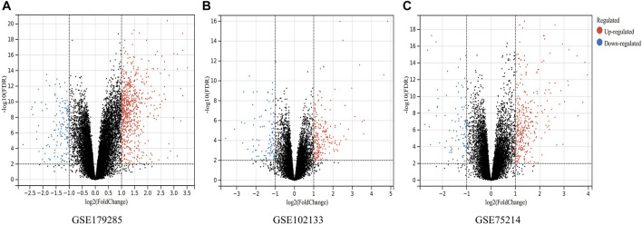 FIGURE 1