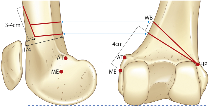 Fig 5