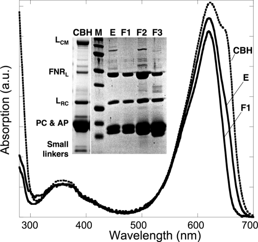 FIGURE 2.