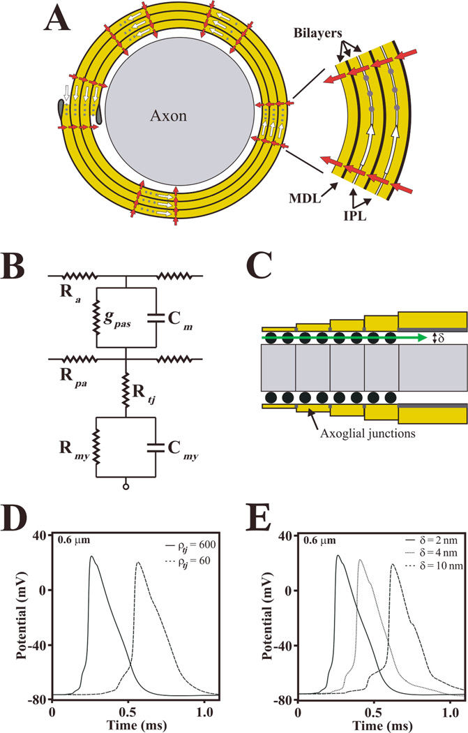 Fig. 4