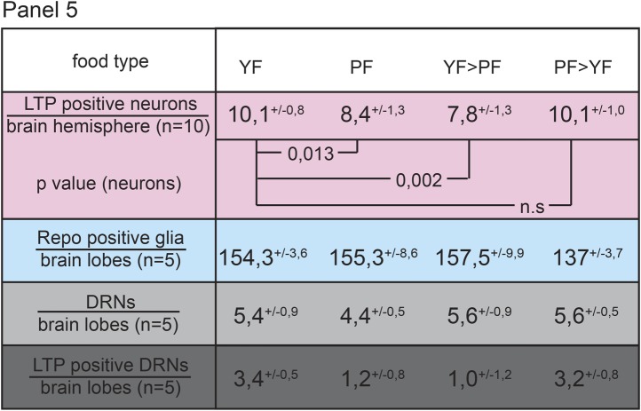 Figure 3—figure supplement 2.