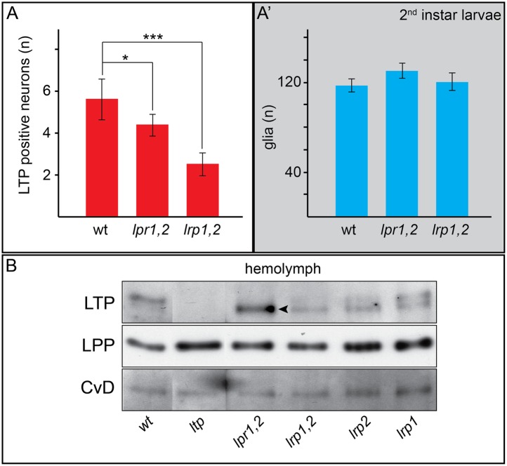 Figure 7—figure supplement 1.