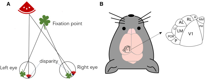 Fig. 1