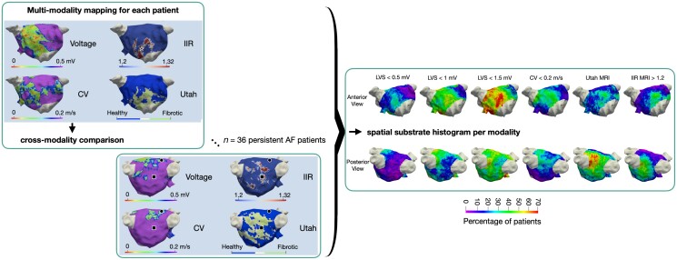 Graphical Abstract